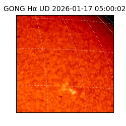 gong - 2026-01-17T05:00:02