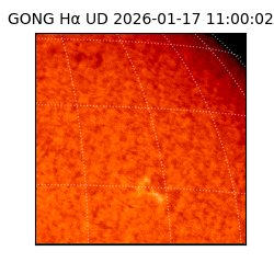 gong - 2026-01-17T11:00:02