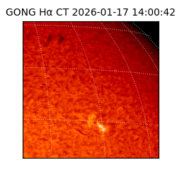 gong - 2026-01-17T14:00:42