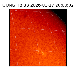 gong - 2026-01-17T20:00:02