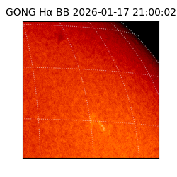 gong - 2026-01-17T21:00:02