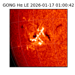 gong - 2026-01-17T01:00:42