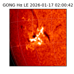 gong - 2026-01-17T02:00:42