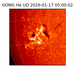 gong - 2026-01-17T05:00:02
