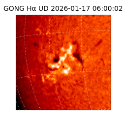 gong - 2026-01-17T06:00:02