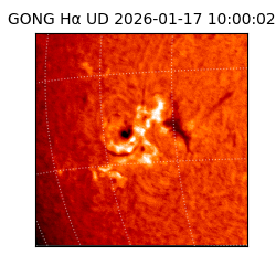 gong - 2026-01-17T10:00:02