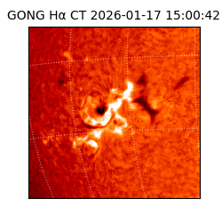 gong - 2026-01-17T15:00:42