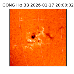 gong - 2026-01-17T20:00:02