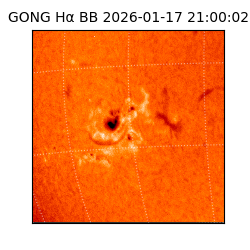 gong - 2026-01-17T21:00:02