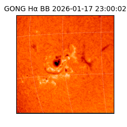 gong - 2026-01-17T23:00:02