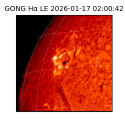 gong - 2026-01-17T02:00:42