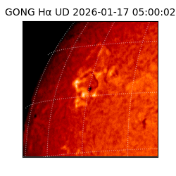 gong - 2026-01-17T05:00:02