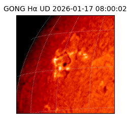 gong - 2026-01-17T08:00:02