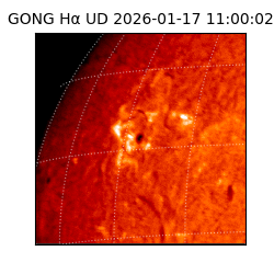 gong - 2026-01-17T11:00:02