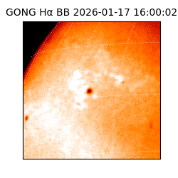 gong - 2026-01-17T16:00:02