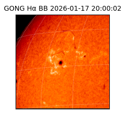 gong - 2026-01-17T20:00:02