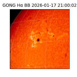 gong - 2026-01-17T21:00:02