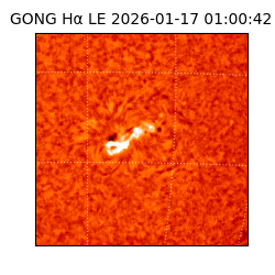 gong - 2026-01-17T01:00:42