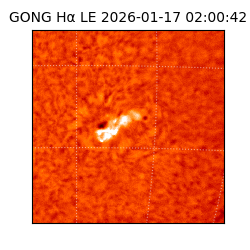 gong - 2026-01-17T02:00:42