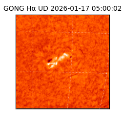 gong - 2026-01-17T05:00:02