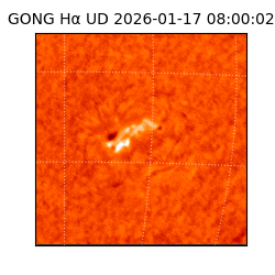 gong - 2026-01-17T08:00:02