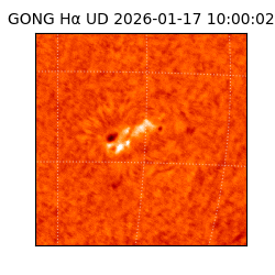 gong - 2026-01-17T10:00:02