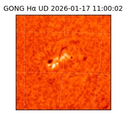 gong - 2026-01-17T11:00:02