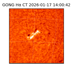 gong - 2026-01-17T14:00:42