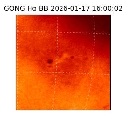 gong - 2026-01-17T16:00:02