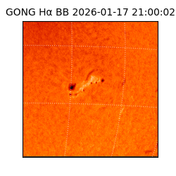 gong - 2026-01-17T21:00:02