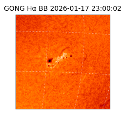 gong - 2026-01-17T23:00:02