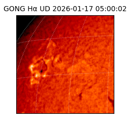gong - 2026-01-17T05:00:02