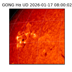gong - 2026-01-17T08:00:02