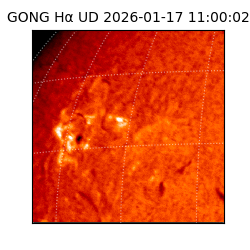 gong - 2026-01-17T11:00:02