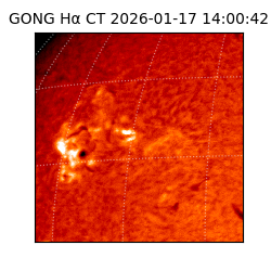gong - 2026-01-17T14:00:42