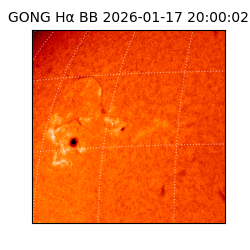 gong - 2026-01-17T20:00:02
