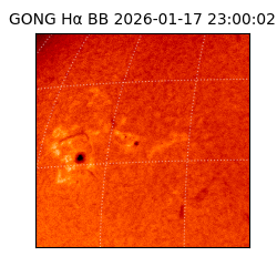 gong - 2026-01-17T23:00:02