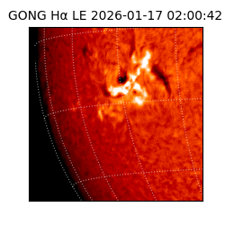 gong - 2026-01-17T02:00:42