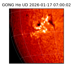 gong - 2026-01-17T07:00:02