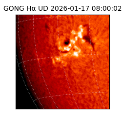 gong - 2026-01-17T08:00:02
