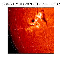gong - 2026-01-17T11:00:02