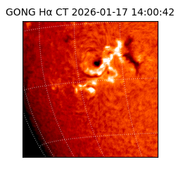 gong - 2026-01-17T14:00:42