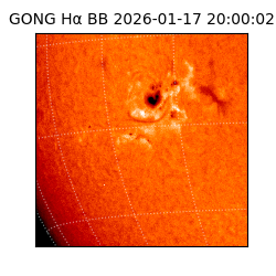 gong - 2026-01-17T20:00:02