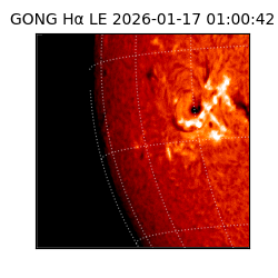 gong - 2026-01-17T01:00:42