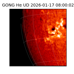 gong - 2026-01-17T08:00:02