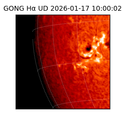 gong - 2026-01-17T10:00:02