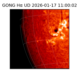 gong - 2026-01-17T11:00:02