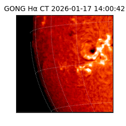 gong - 2026-01-17T14:00:42