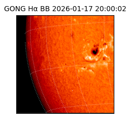 gong - 2026-01-17T20:00:02