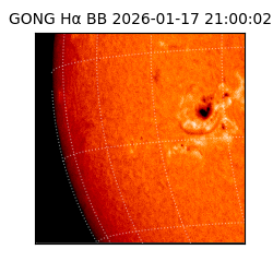 gong - 2026-01-17T21:00:02
